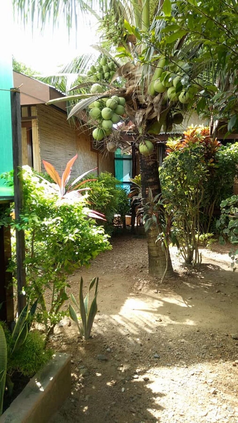 Devayn's Inn El Nido Buitenkant foto